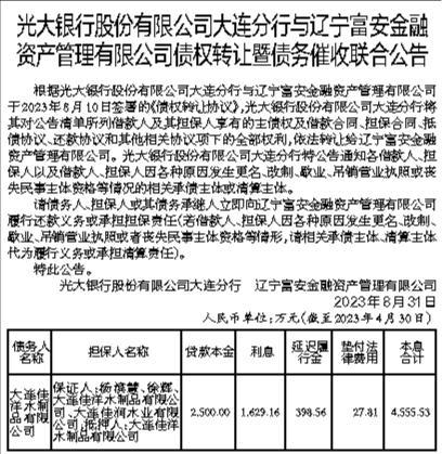 兴隆卡最新公告详解，变化、优势与未来展望