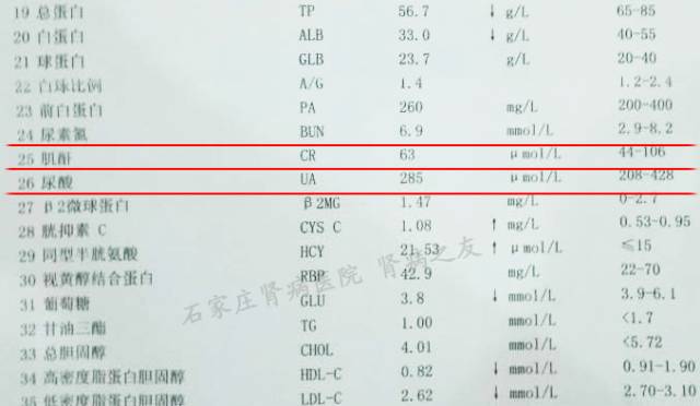 血肌酐正常值最新标准及其关键影响