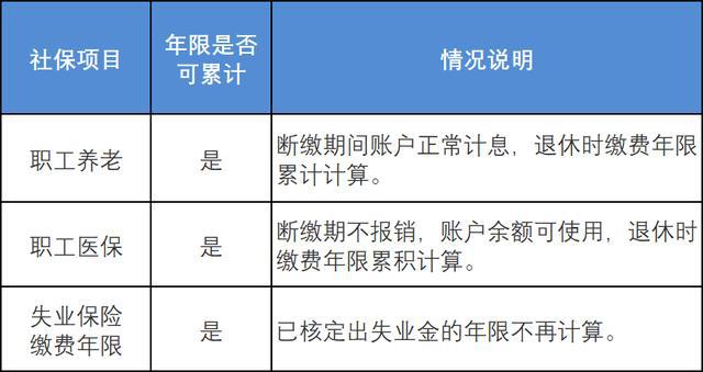 新澳门免费资料大全历史记录开马,未来展望解析说明_专属款51.506