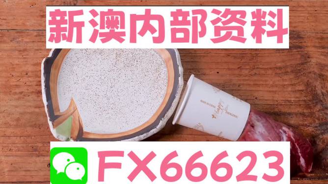 新澳精准资料免费群聊,动态说明分析_2DM35.649