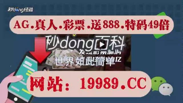 新澳门六开奖结果2024开奖记录查询网站,专业分析解释定义_Z56.63