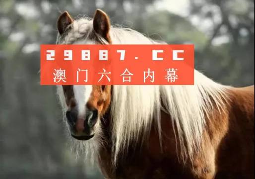 澳门今晚必中一肖一码,效能解答解释落实_云端版80.641