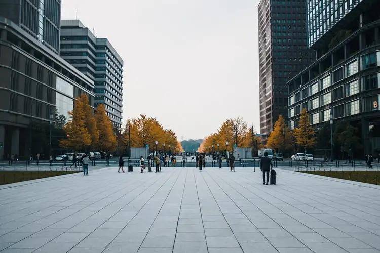 新澳门码内部资料免费,最新答案解释落实_安卓款12.946