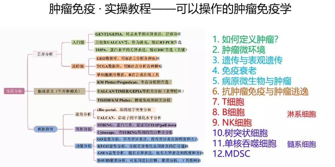 香港正版资料免费大全年使用方法,完善的机制评估_XE版76.79