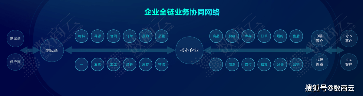 王中王王中王免费资料大全一,实效性策略解读_高级款75.209