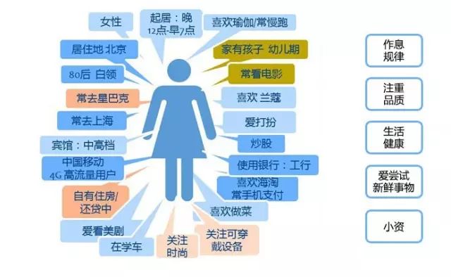 新澳准资料免费提供,数据引导执行计划_娱乐版34.319