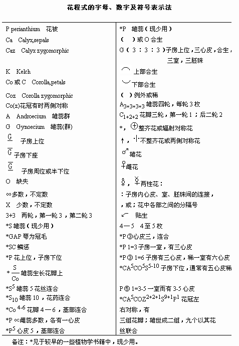 2024正版资料大全好彩网,实践分析解释定义_M版62.41.88