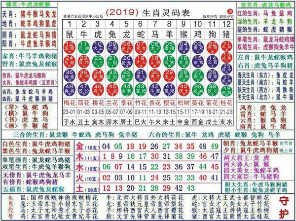 2024最新奥马免费资料生肖卡,实地验证策略方案_XT79.253