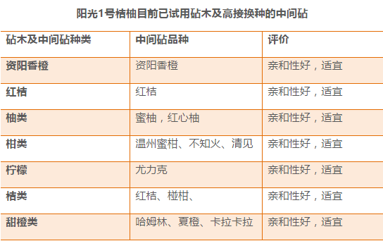 2025舒城划归合肥最新,实证解析说明_V71.507