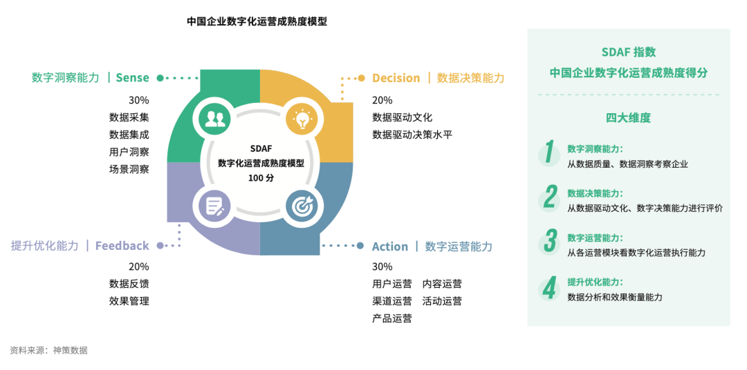 新澳精准资料大全,深入数据执行应用_yShop95.619