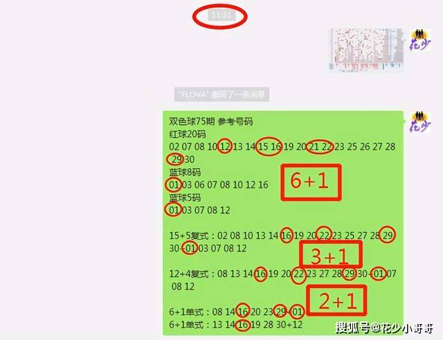 白小姐今晚特马期期准六,实时信息解析说明_Q42.481