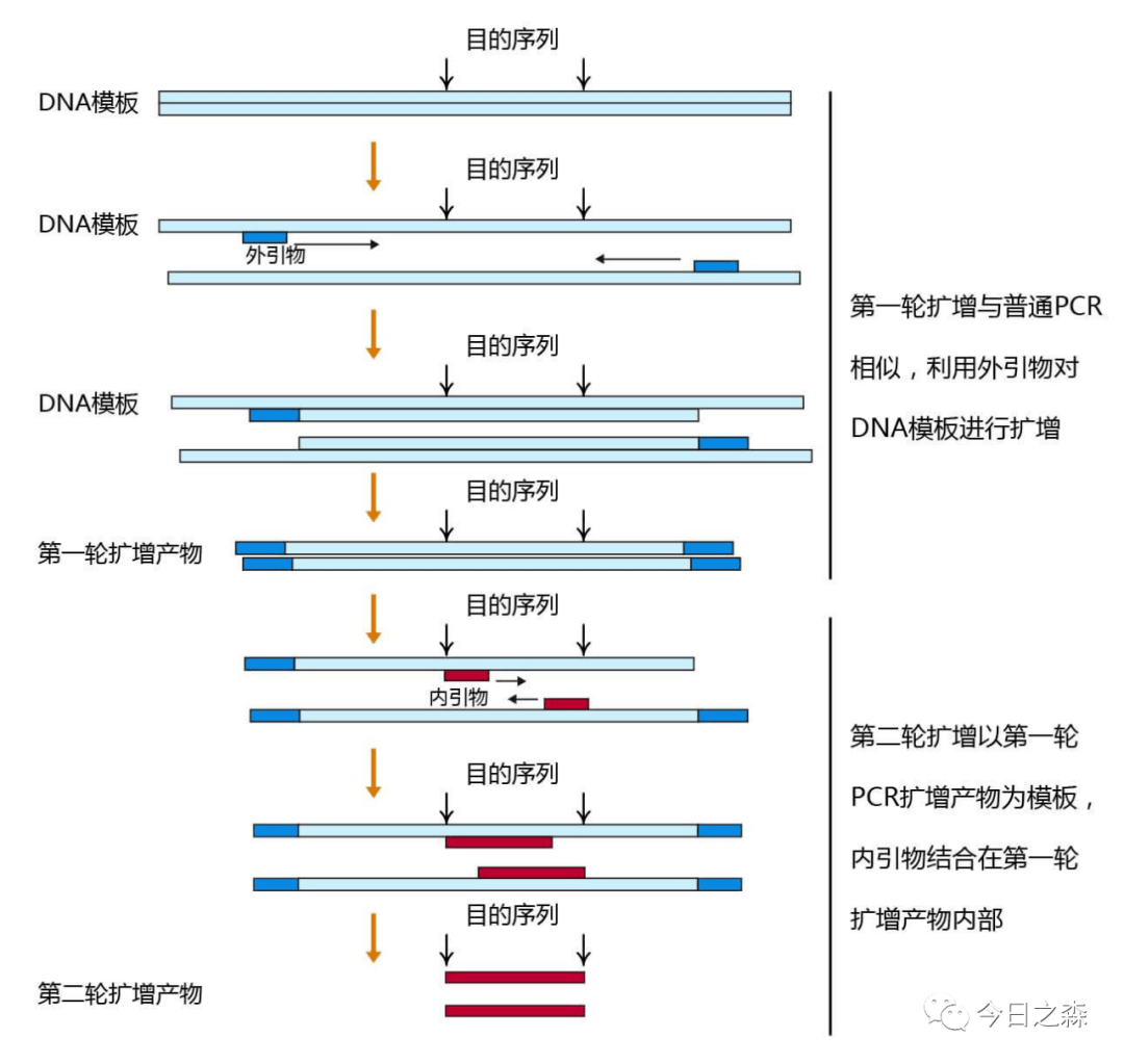 新澳准资料免费提供,稳定性策略解析_Tablet46.100.49