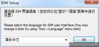 IDM最新版，功能、优势与使用体验探索