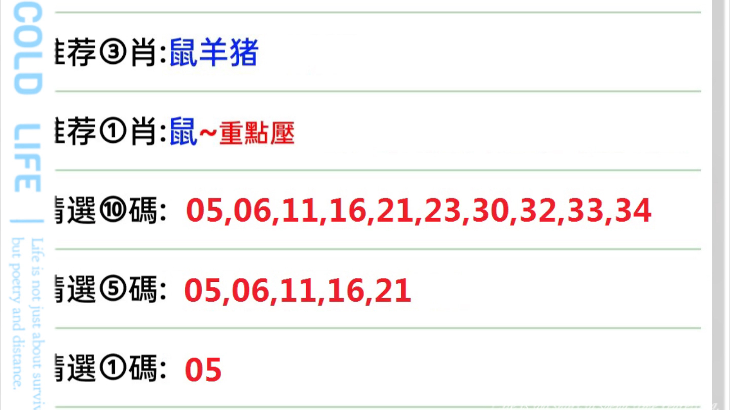 2024年11月18日 第13页