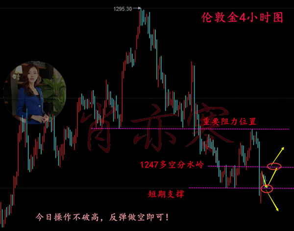 新澳门今晚精准一肖,战略性实施方案优化_冒险版43.507