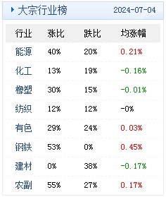 新澳2024年精准资料220期,全面计划执行_Holo11.651