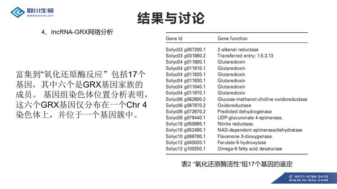 新奥正版全年免费资料,调整方案执行细节_专属版74.755