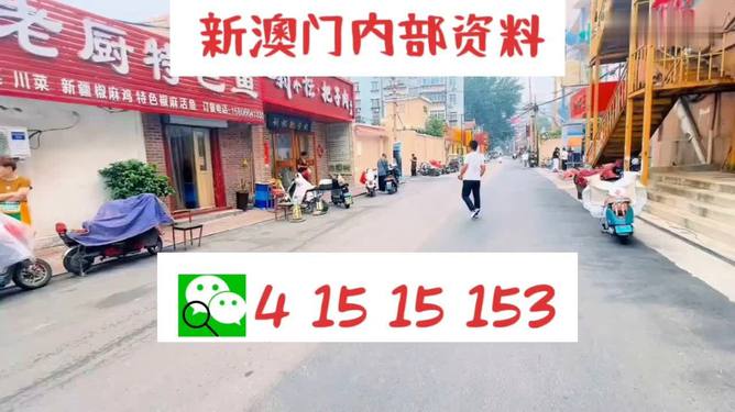 2024澳门天天开好彩大全46期,实地分析考察数据_iShop65.568