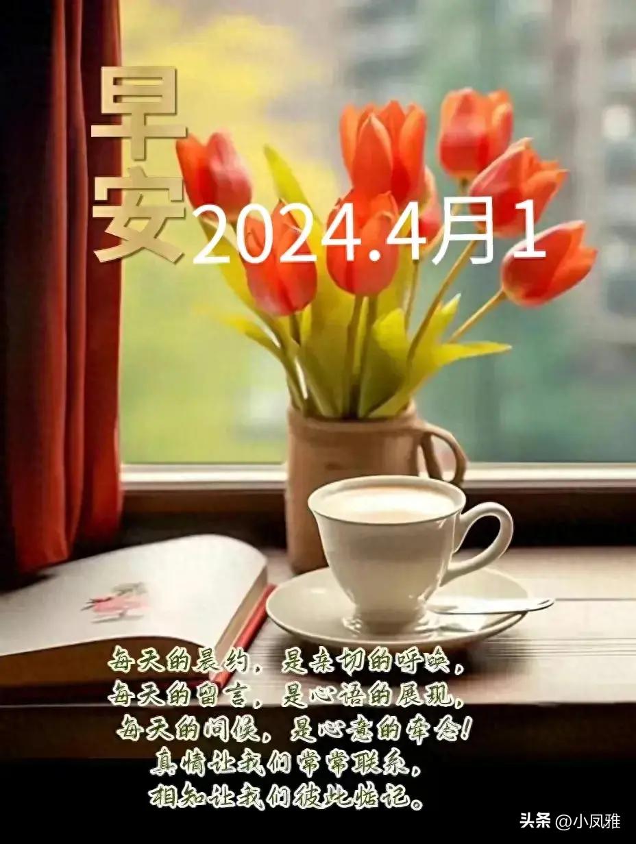 2024天天彩全年免费资料,动态说明分析_战略版19.964