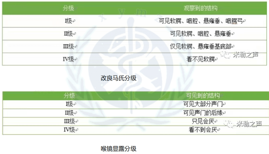 4949澳门精准免费大全高手版,广泛解析方法评估_运动版19.139