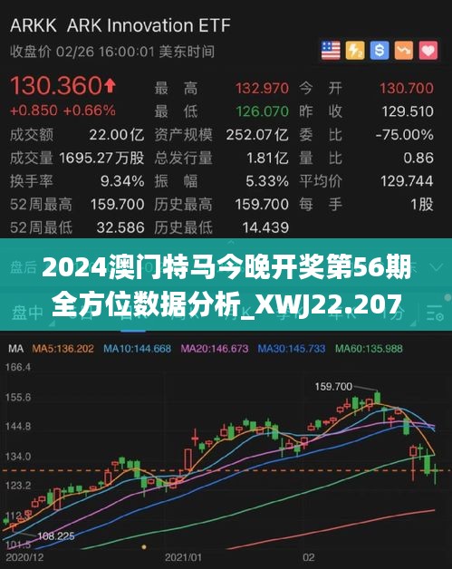 2024今晚澳门开特马,数据驱动执行设计_社交版32.946