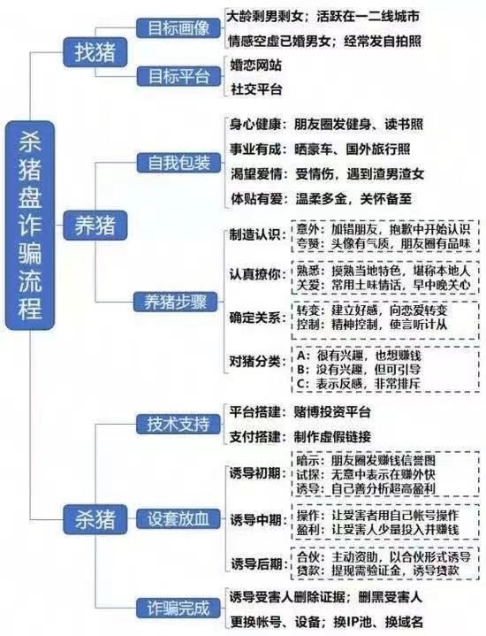 澳门正版资料大全免费噢采资,标准化流程评估_标准版6.676