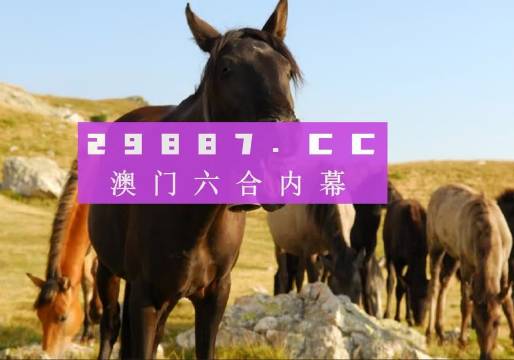 澳6图库app下载,实地验证数据计划_限量版54.50