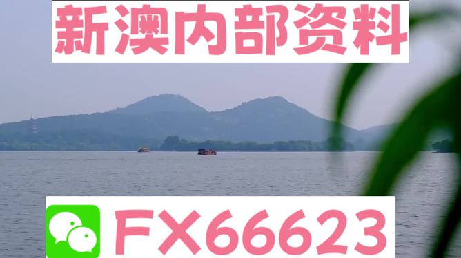 2024新澳资料大全免费,持久性策略设计_XP48.462