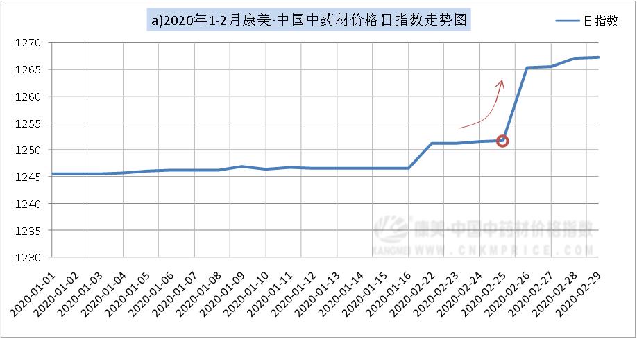 康美药业强劲发展势头与创新突破，引领行业最新重大利好