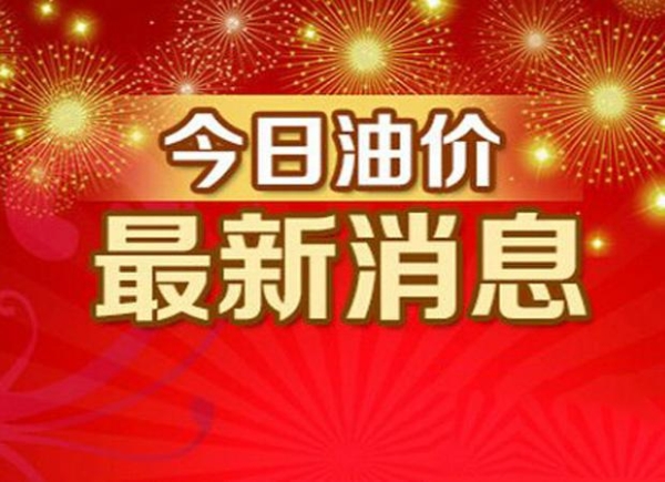 软件和信息技术服务 第236页