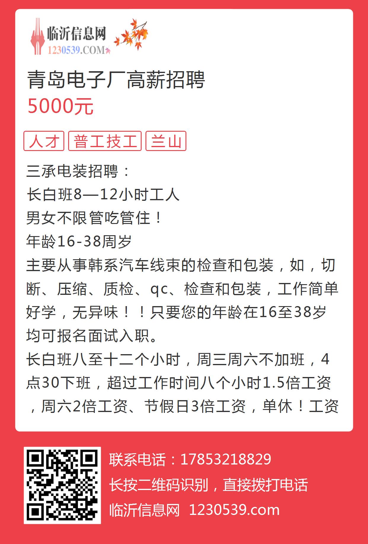 胶南电子厂最新招聘启事，职位空缺与职业发展机会