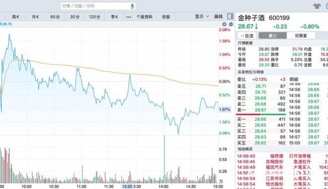 金种子酒股票最新动态，市场走势及行业展望分析