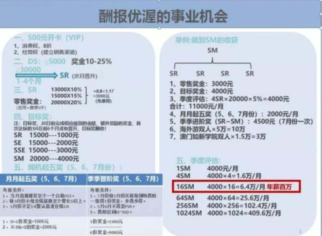 新奖金制度深度解析，最新规则解读与探讨