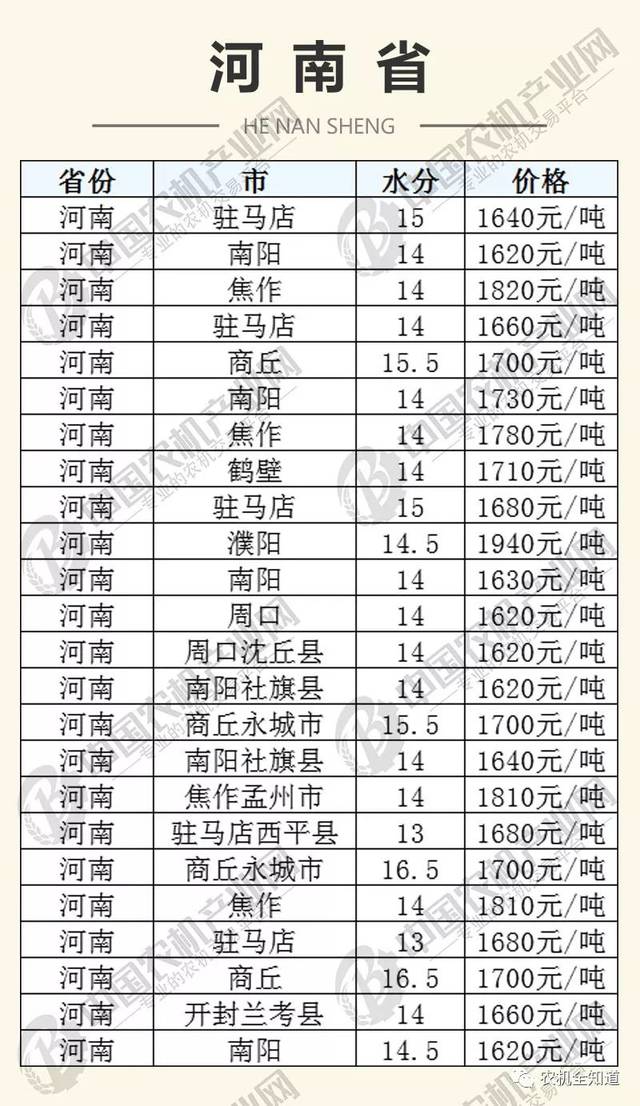 河南省玉米价格最新行情解析