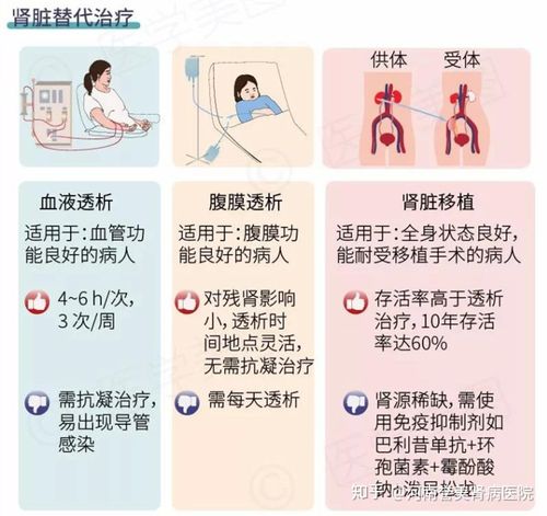 最新肾脏疾病治疗突破，替代透析的新方法点亮未来希望之灯