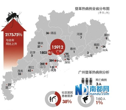 广东登革热最新动态，全面防控，民众健康保障行动启动