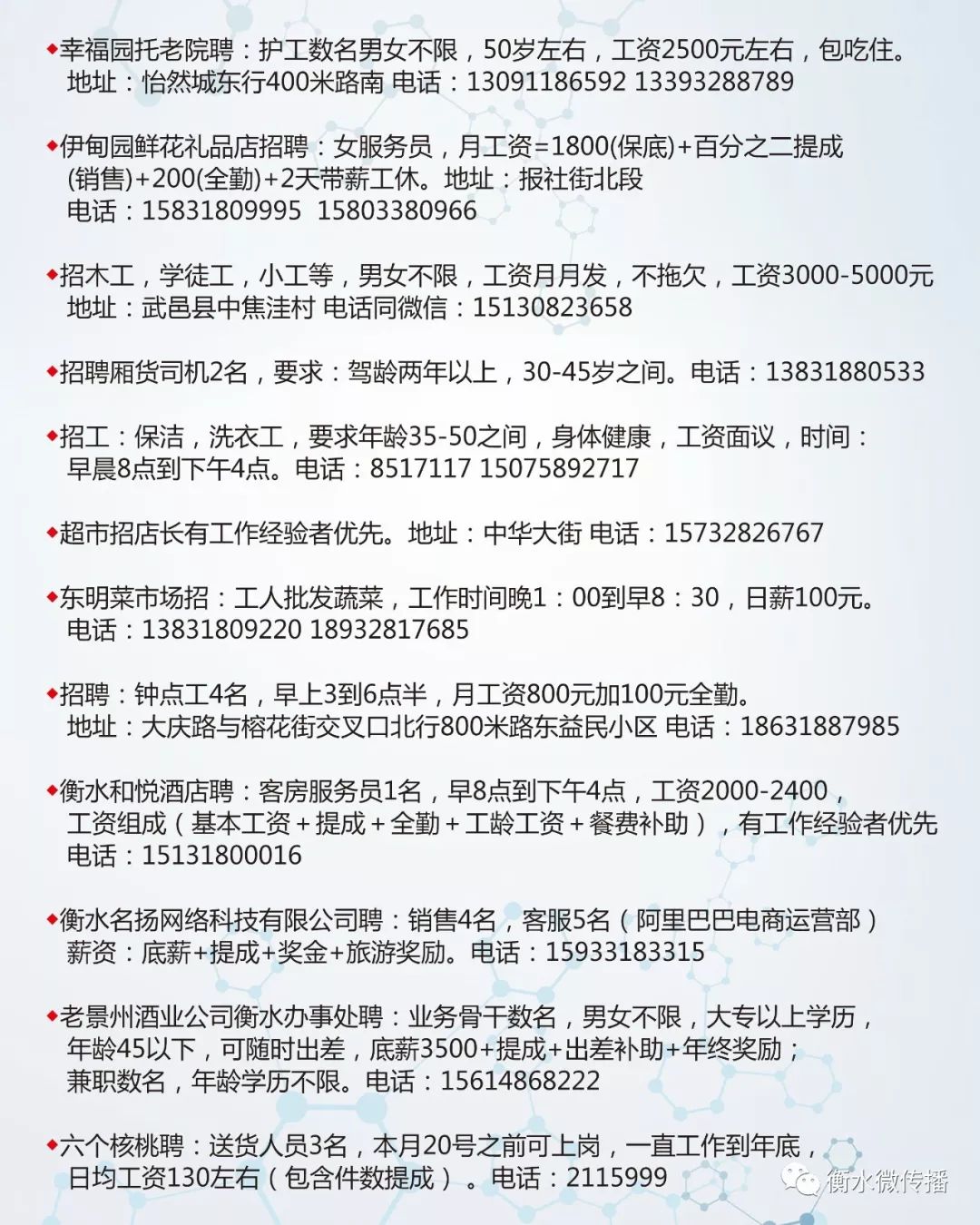 高碑店招聘网最新招聘动态全面解析