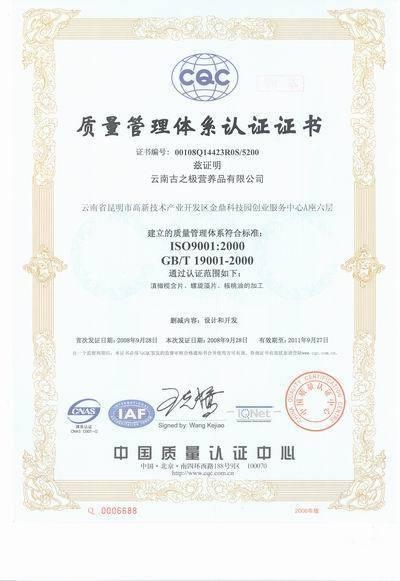 ISO9001质量管理体系最新版，企业成功的核心要素