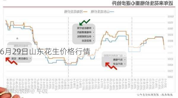 今日花生价格行情解析及市场趋势分析