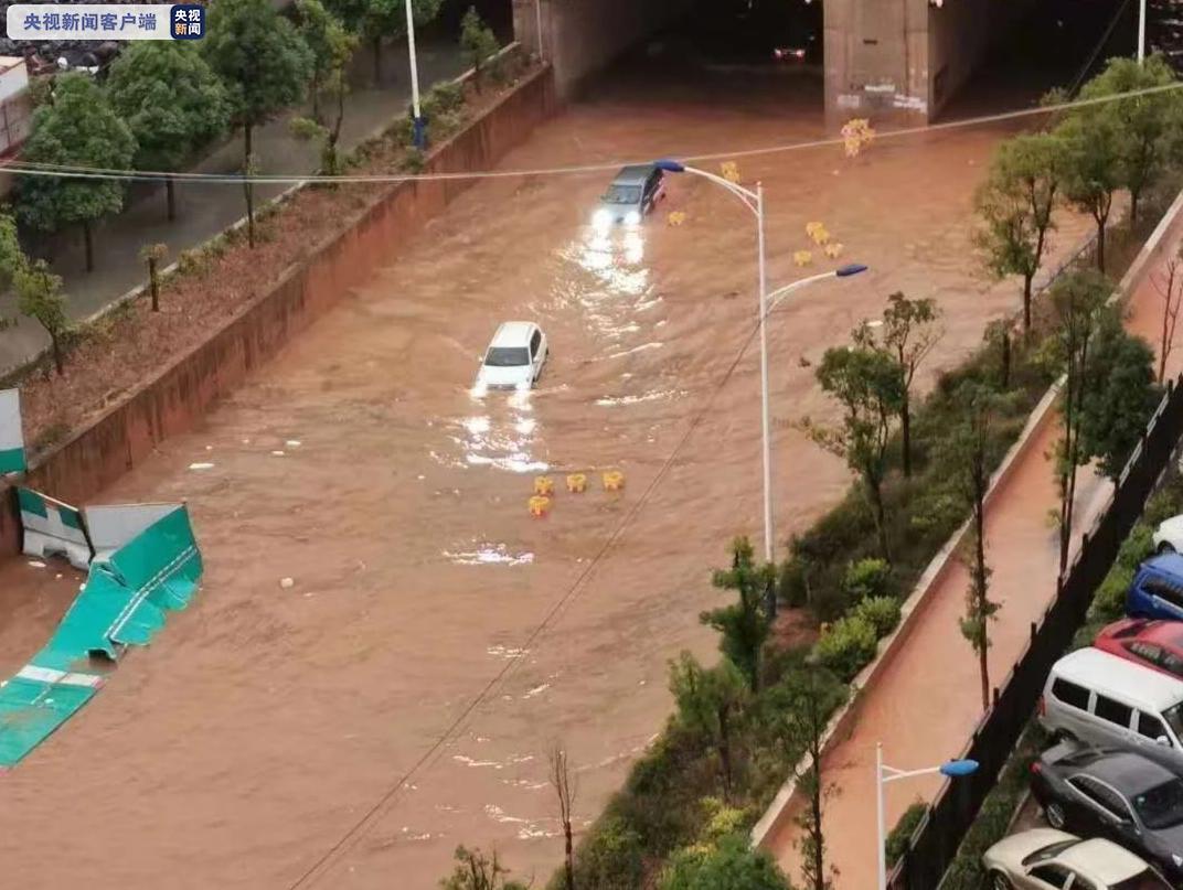 云南暴雨最新动态，灾害应对与影响分析