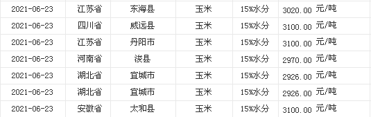 玉米粒价格最新行情解析